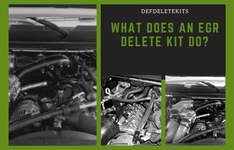 What does an egr delete kit do?